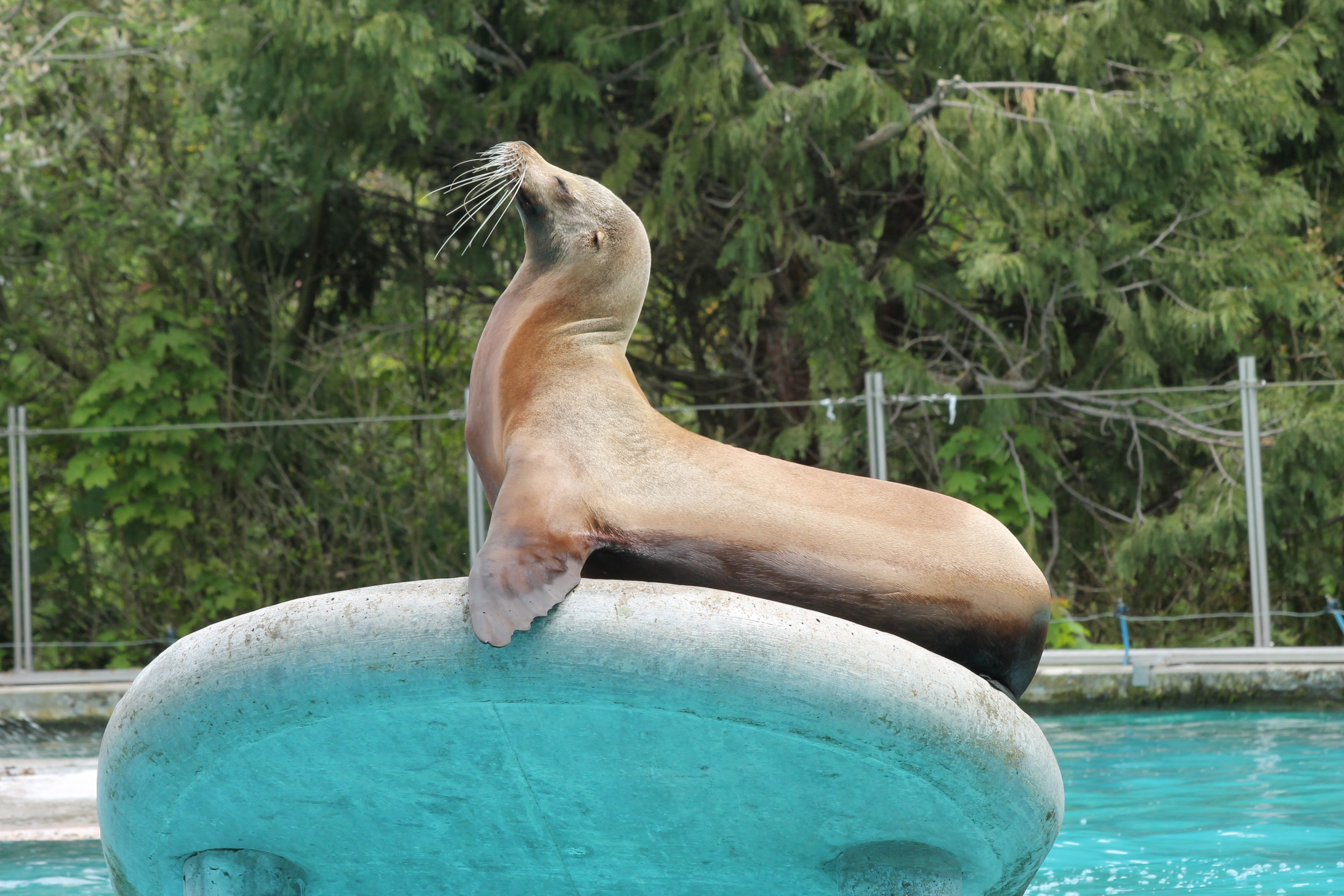 Zoo d' Amiens