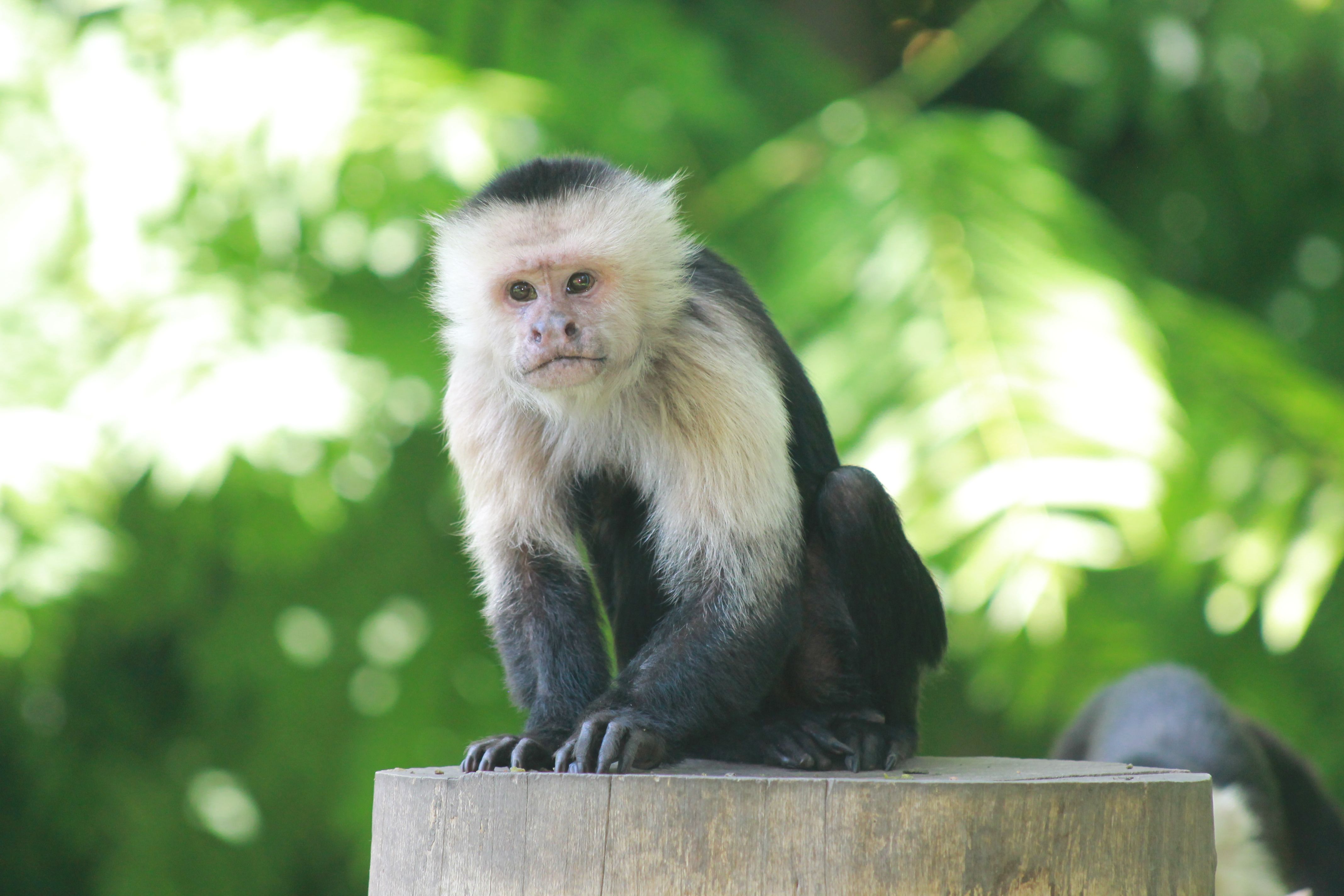 Le Zoo d'Amiens